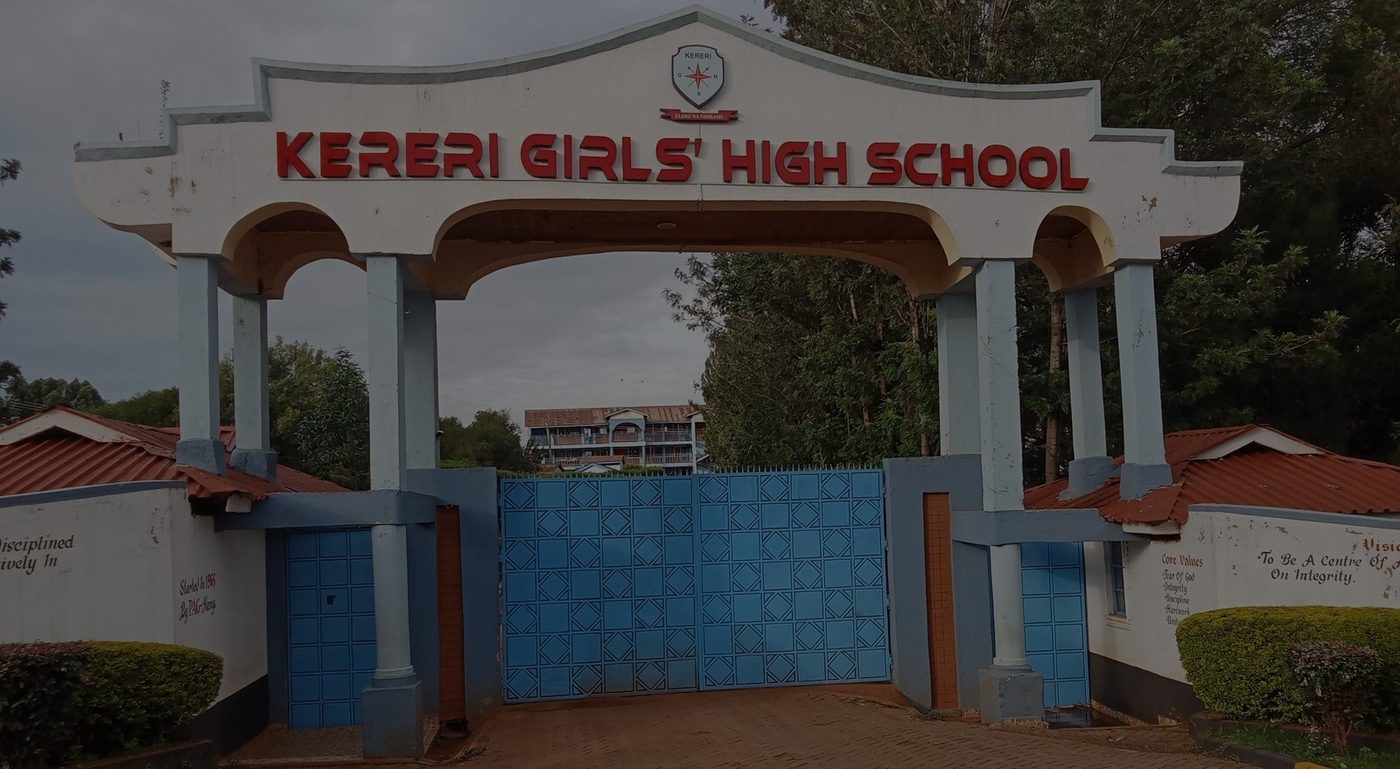 School Gate, Close View